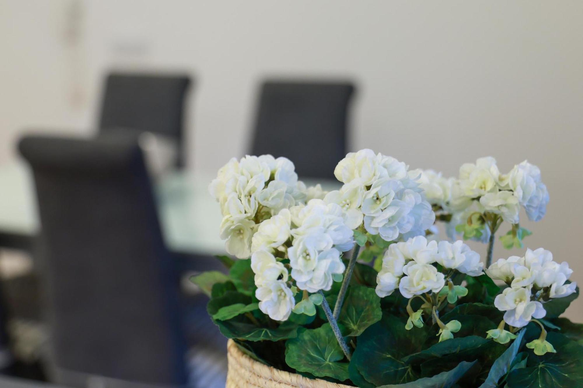 Guest House Abegorias Nazare Bagian luar foto