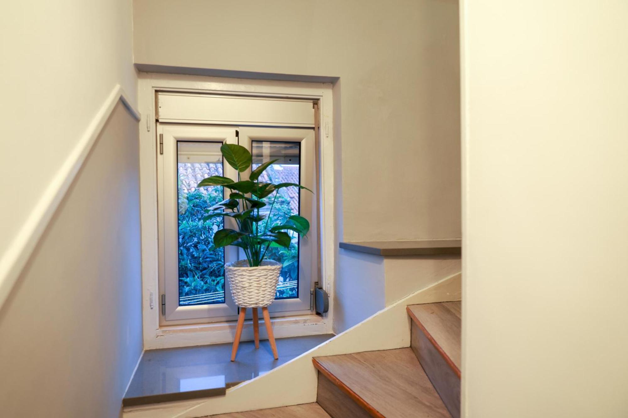 Guest House Abegorias Nazare Bagian luar foto